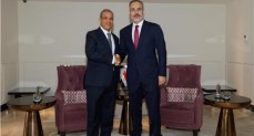 وزير الخارجية والهجرة وشئون المصريين بالخارج