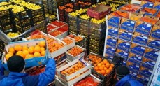 ارتفاع صادرات الصناعات الغذائية إلى 4 مليارات دولار خلال 7 أشهر  