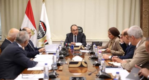 وزير قطاع الأعمال العام