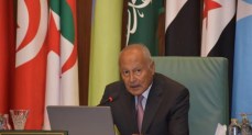 أبو الغيط: ما يجري في غزة يكشف عن مخطط إسرائيلي لتشريد الشعب الفلسطيني