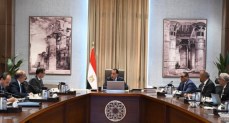 مجلس الوزراء