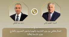 وزير الخارجية والهجرة وشئون المصريين بالخارج