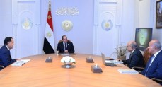الرئيس السيسي يوجه بإضافة قدرات جديدة للكهرباء من الطاقة المتجددة     