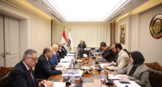 وزير قطاع الأعمال العام