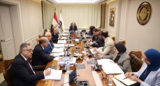وزير قطاع الأعمال: تطبيق برامج التحول الرقمي لتحسين أداء وموارد الشركات التابعة     