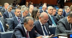 وزير الخارجية والهجرة وشئون المصريين بالخارج