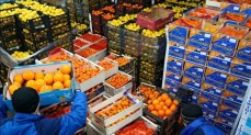 صادرات الصناعات الغذائية المصرية تتجاوز 4.6 مليار دولار خلال 8 أشهر 