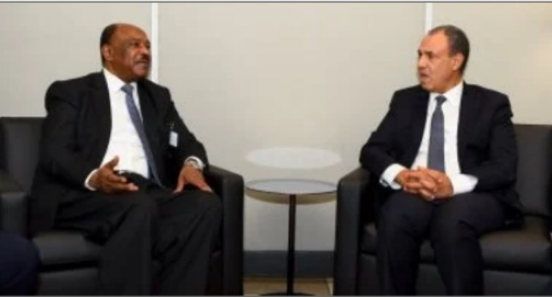 وزير الخارجية يؤكد موقف مصر الثابت الداعم لأمن واستقرار ووحدة السودان