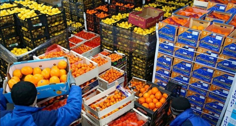 صادرات الصناعات الغذائية المصرية تتجاوز 4.6 مليار دولار خلال 8 أشهر 