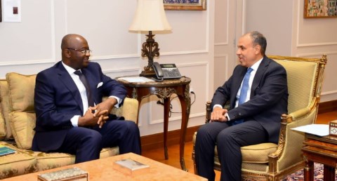 وزير الخارجية يستقبل رئيس البنك الأفريقي للتصدير والاستيراد