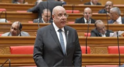 المستشار هشام بدوي، عضو مجلس النواب المعين