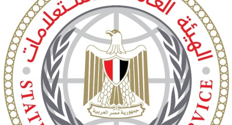 هيئة الاستعلامات: مُشاركة 96 مؤسسة إعلامية أجنبية مع وزير الخارجية