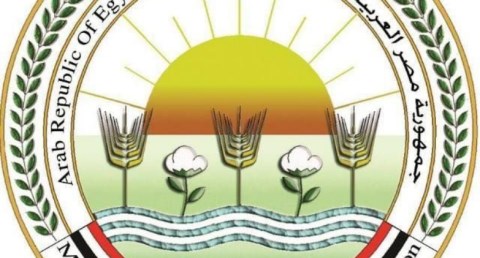  الزراعة: تحصين أكثر من 500 ألف رأس ماشية حتى الآن خلال أسبوع