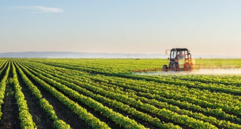 ڤودافون بيزنس تدعم الزراعة الذكية في مصر عبر تعاونها مع شركة رخاء 