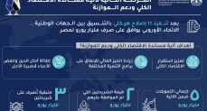 هيئة الاستعلامات: مُشاركة 96 مؤسسة إعلامية أجنبية مع وزير الخارجية في أول "لقاء مع الإعلام الأجنبي"