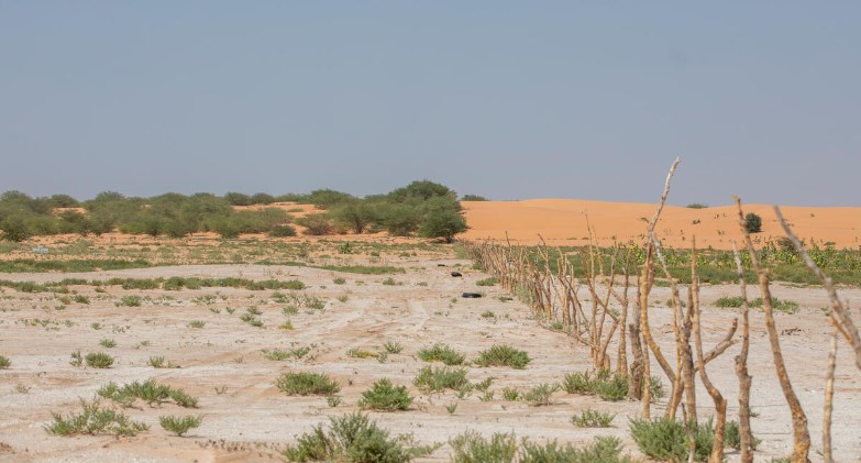 لجنة استرداد أراضى الدولة تؤكد سرعة الانتهاء من طلبات التقنين