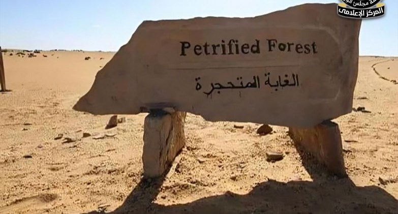 حقيقة التعدي على الأشجار المتحجرة داخل محمية الغابة المتحجرة بالتجمع 