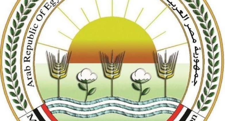  الزراعة: تحصين أكثر من 500 ألف رأس ماشية حتى الآن خلال أسبوع