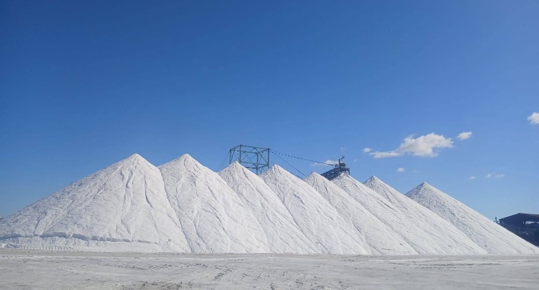  قطاع الأعمال: النصر للملاحات تصدر أكبر شحنة ملح في تاريخها من العريش