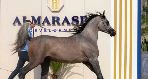 مزرعة رباب