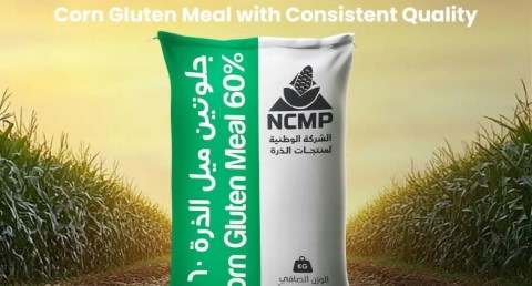 الوطنية لمنتجات الذرة «NCMP»