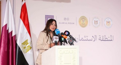 راندة المنشاوي 