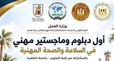 برنامجي الدبلوم المهني والماجستير المهني