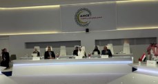 وزير الكهرباء والطاقة المتجددة