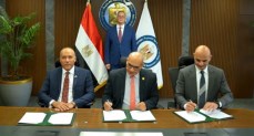 وزير البترول والثروة المعدنية