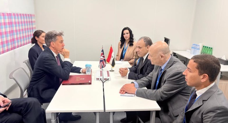 وزير الخارجية والتعاون الدولي والمصريين بالخارج