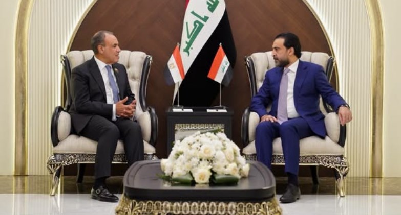 وزير الخارجية والتعاون الدولي والمصريين بالخارج