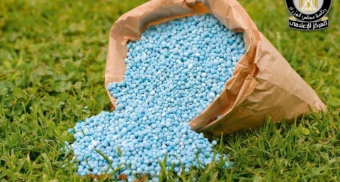 حقيقة نقص التقاوي والأسمدة المعتمدة لزراعة القمح بالمنافذ الرسمية