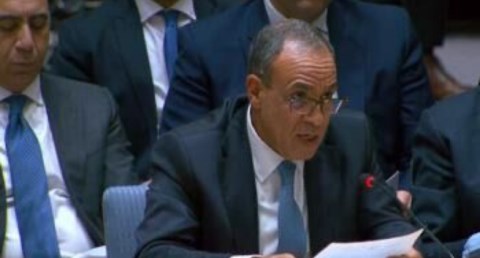  بدر عبد العاطي وزير الخارجية والتعاون الدولي