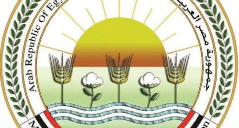  الخدمات البيطرية:  فحص 654 مزرعة.. وتؤكد سلامة الثروة الداجنة في مصر