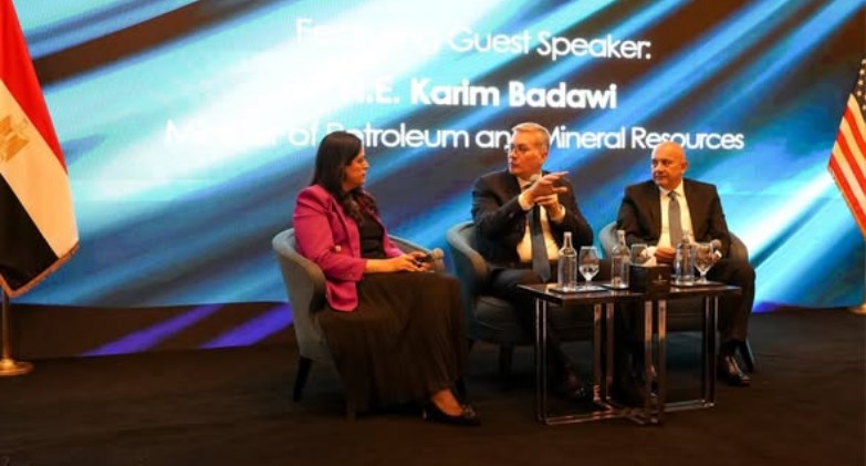 وزير البترول والثروة المعدنية