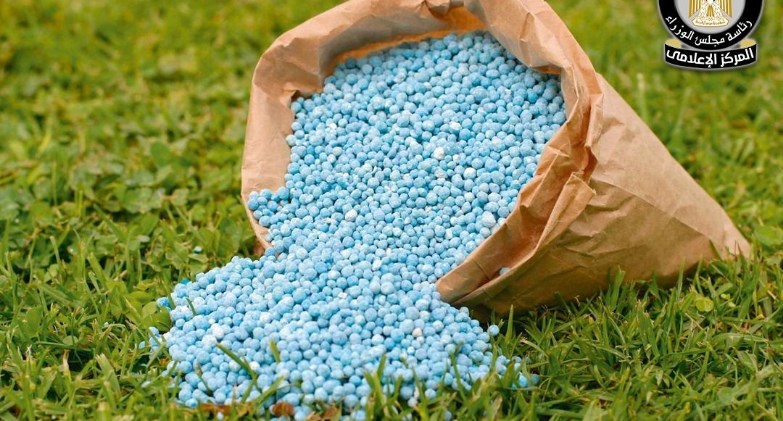 حقيقة نقص التقاوي والأسمدة المعتمدة لزراعة القمح بالمنافذ الرسمية