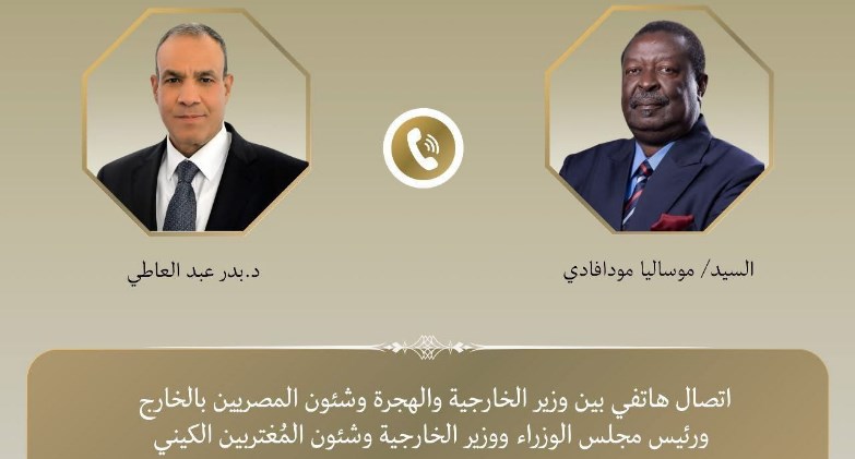  وزير الخارجية يبحث مع نظيره الكيني آفاق تطوير العلاقات الثنائية 