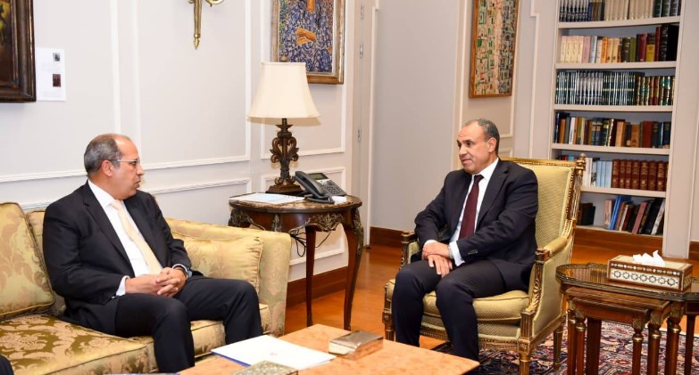 وزير الخارجية يستقبل رئيس الجامعة البريطانية في مصر