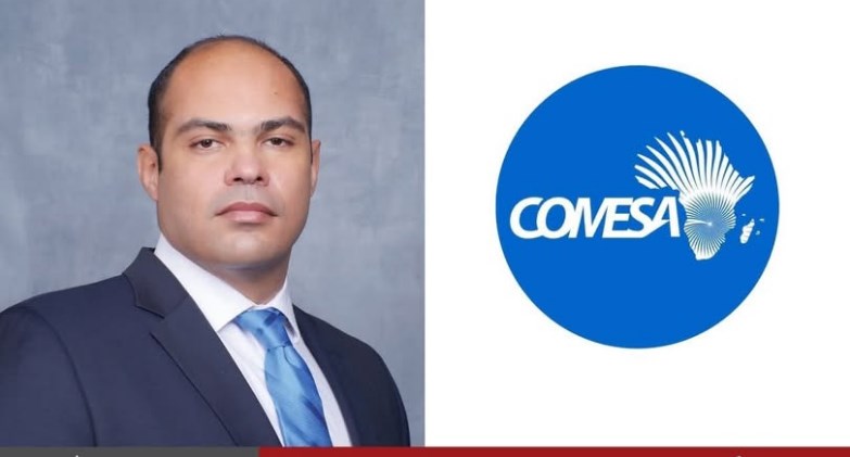 الدكتور محمود ممتاز