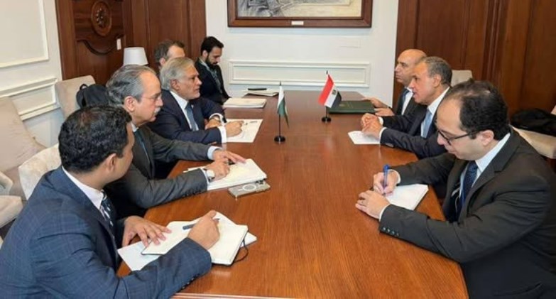 وزيرا الخارجية المصري والباكستاني 