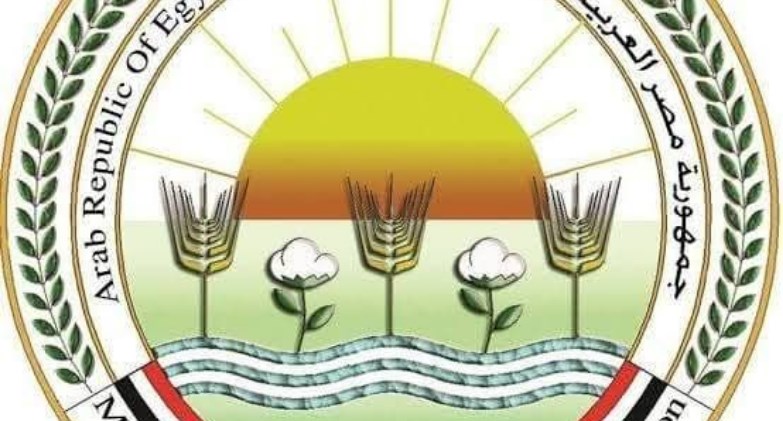 "الزراعة": تحصين 12,665 كلب حر وتعقيم 1,593 منذ يناير ضمن الحملة القومية لمكافحة مرض السعار