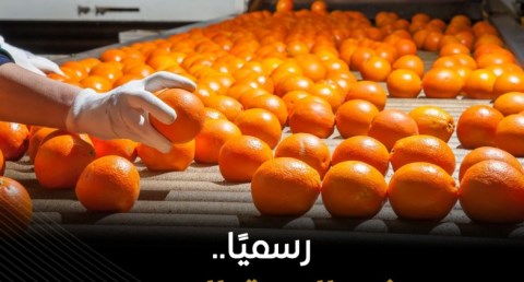 فتح السوق البنمي رسمياً أمام صادرات مصر من أربعة منتجات رئيسية