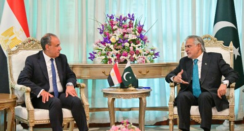 وزيرا خارجية مصر وباكستان يبحثان تعزيز العلاقات الثنائية والتطورات الإقليمية