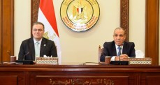  وزير الخارجية يتابع دمج ملف التعاون الدولى إلى وزارة الخارجية