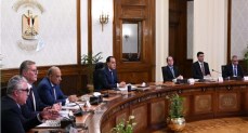 رئيس الوزراء يتابع موقف تنفيذ عدد من ملفات العمل بالمنطقة الاقتصادية لقناة السويس