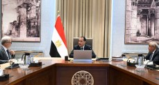 رئيس الوزراء يتابع مستجدات موقف ملف الشركات المملوكة للدولة