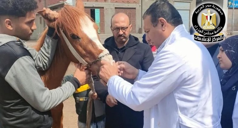   510 قافلة بيطرية علاجية وإرشادية مجانية خلال شهري يناير وفبراير 2026