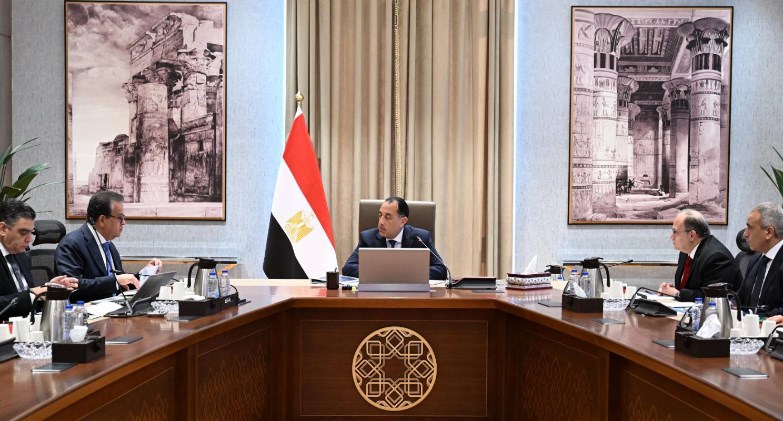  رئيس الوزراء يتابع موقف توافر المستحضرات الدوائية والخامات الفعالة بالسوق المصرية للدواء