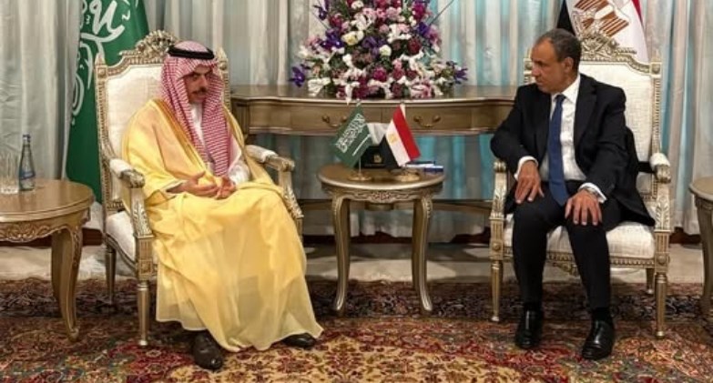 وزير الخارجية يبحث مع نظيره السعودي جهود التهدئة الإقليمية