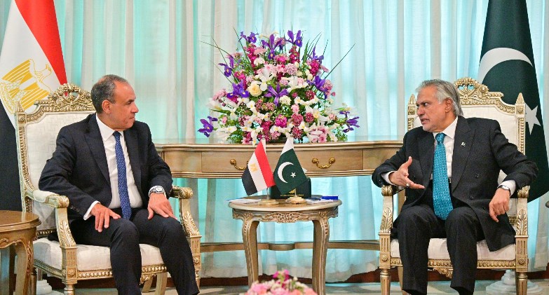 وزيرا خارجية مصر وباكستان يبحثان تعزيز العلاقات الثنائية والتطورات الإقليمية